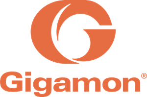 gigamon-logo-47DF4F3B58-seeklogo.com